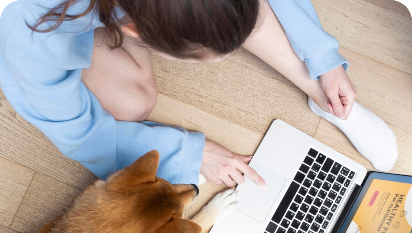 Pet Management System